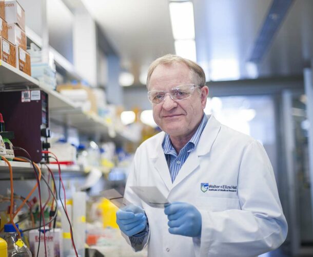 Professor David Vaux in lab