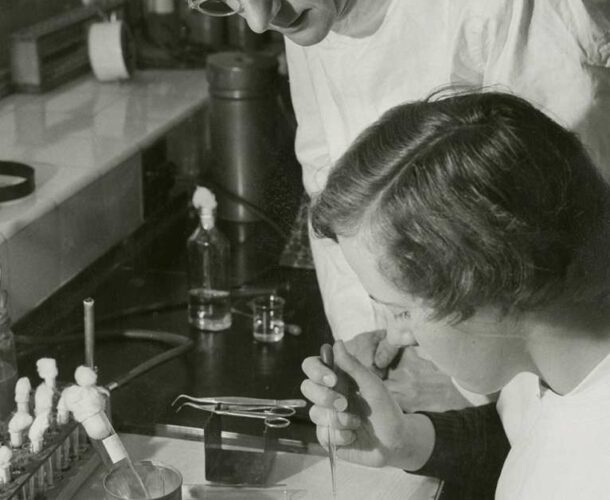 Dr Eric French at work in the laboratory with laboratory assistant Joan extracting and inoculating eggs.