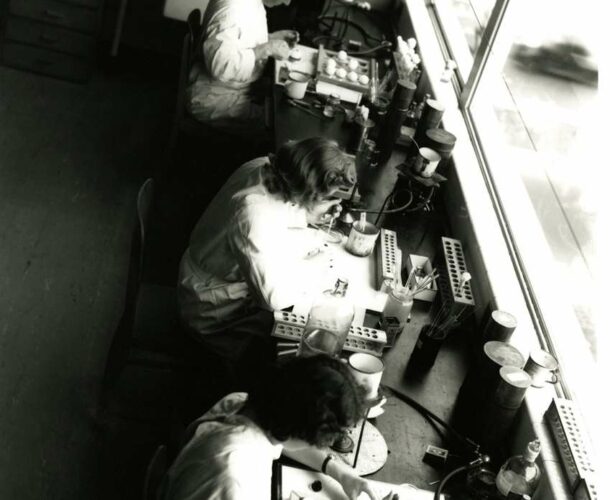 Dr W J B Beveridge (left) and two laboratory technicians harvesting eggs for flu virus research in Macfarlane Burnet's laboratory.