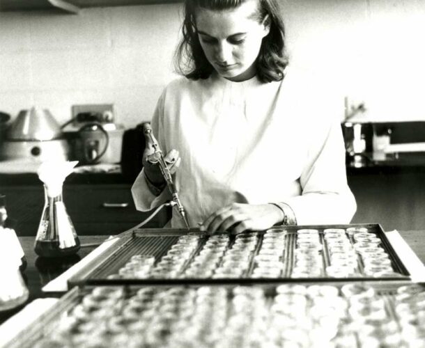 Researcher preparing marrow cultures