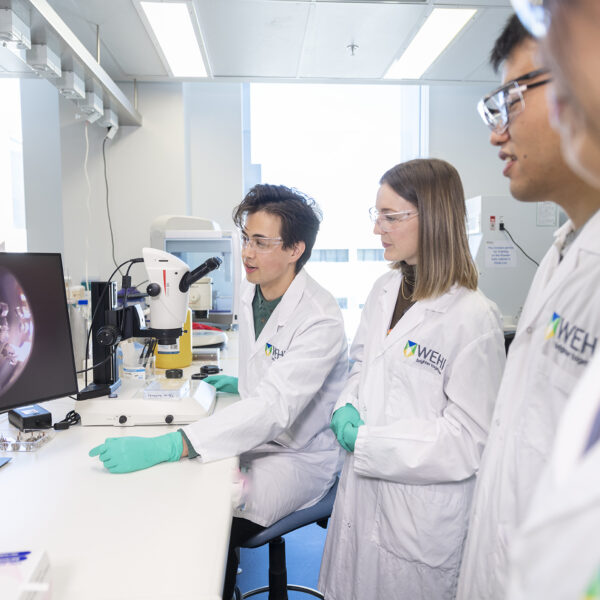 Medical research students using a microscope
