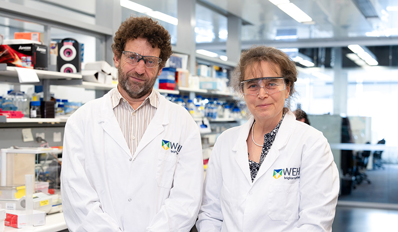 L-R Tim Thomas and Anne Voss standing in a laboratory.