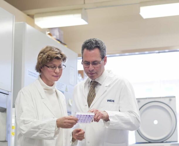 Professors Jane Visvader and Geoff Lindeman.