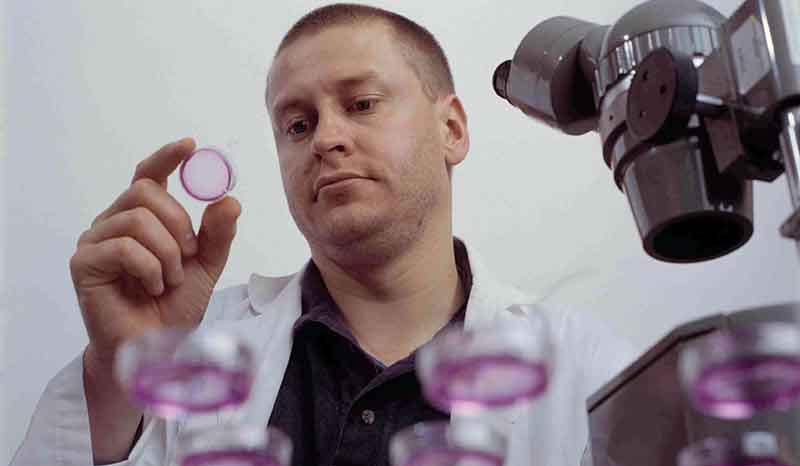 Dr Doug Hilton examining culture plates.