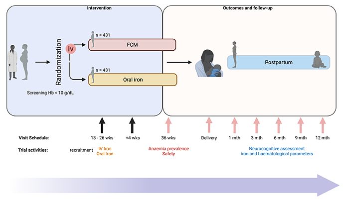 Clinical trial diagram