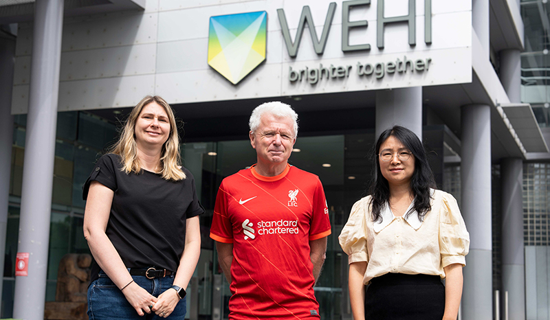 Gemma Kelly, Andreas Strasser and Zilu Wang are photographed standing outside WEHI's main entrance