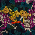 Still image from an animation depicting the protein p53