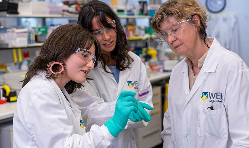 L-R: Dr Rachel Joyce, Dr Rosa Pascual and Professor Jane Visvader. Credit: WEHI