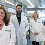 L-R: Dr Sarah Diepstraten, Dr Eddie La Marca, Associate Professor Gemma Kelly, Dr Yin Yuan. Credit: WEHI