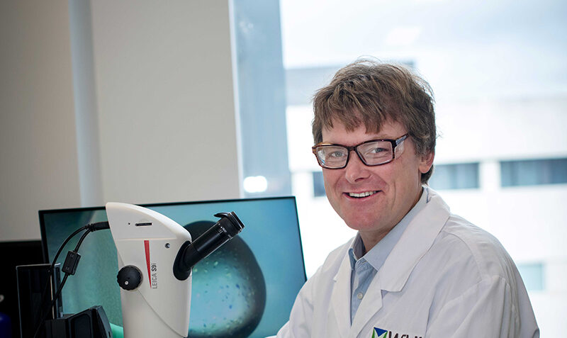 Professor David Koamnder