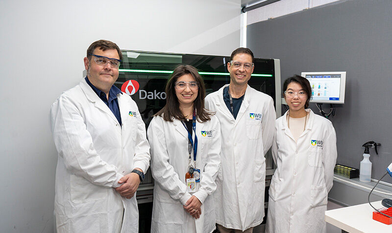 WEHI researchers Professor James Murphy, Dr Aysha Al-Ani, Dr Andre Samson and Shene Chiou.
