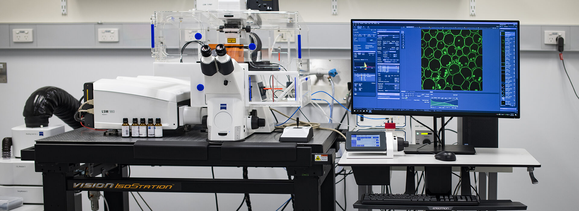 Zeiss LSM 980 microscope