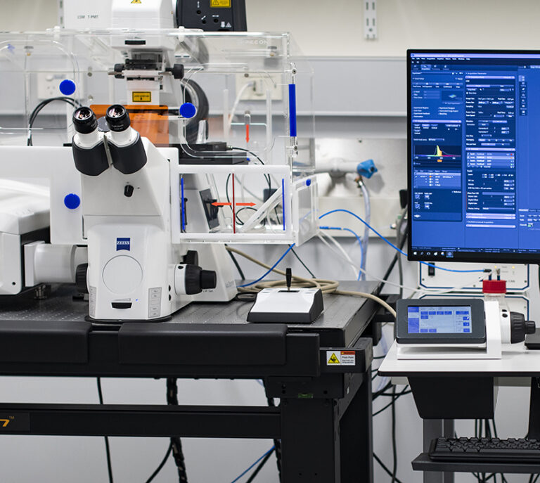 Zeiss LSM 980 microscope