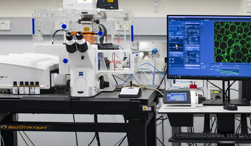 Zeiss LSM 980 microscope