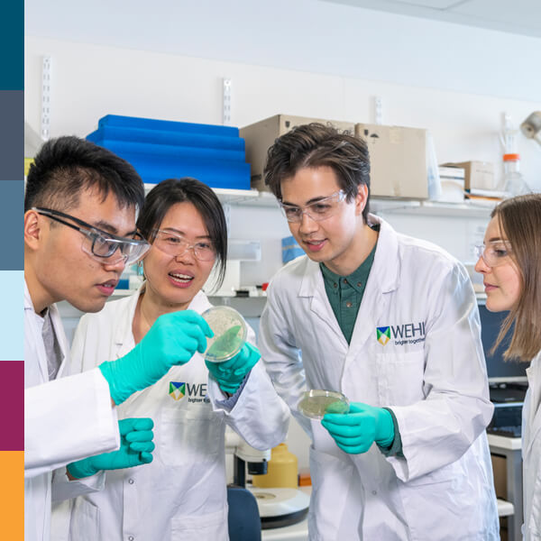 Four young scientists are photographed in a laboratory
