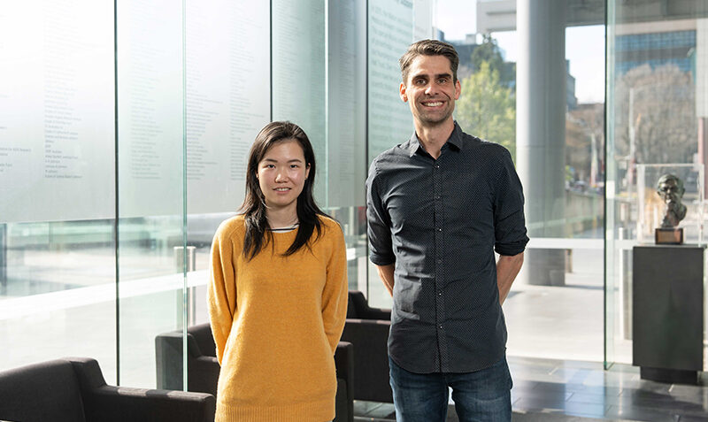 Dr Kelin Zhao and Professor Daniel Gray led the WEHI team involved in this study.