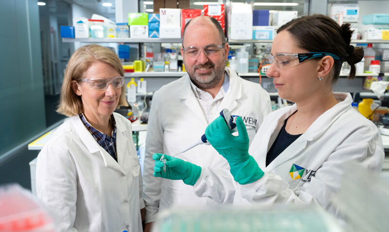 Three cancer researchers are photographed working together in a laboratory