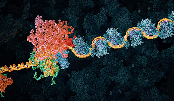 Still image from a biomedical animation showing a strand of DNA