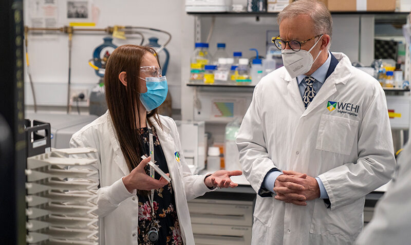 Prime Minister Anthony Albanese (pictured) learned about the work of the NDDC during his visit to WEHI in 2022, along with Minister for Health and Aged Care Mark Butler and Assistant Minister for Health and Aged Care Ged Kearney.
