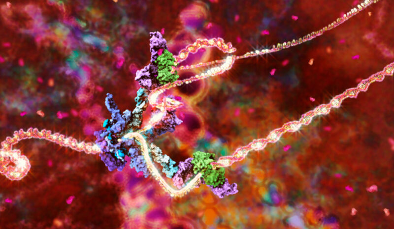 Still image from Bjork's music video