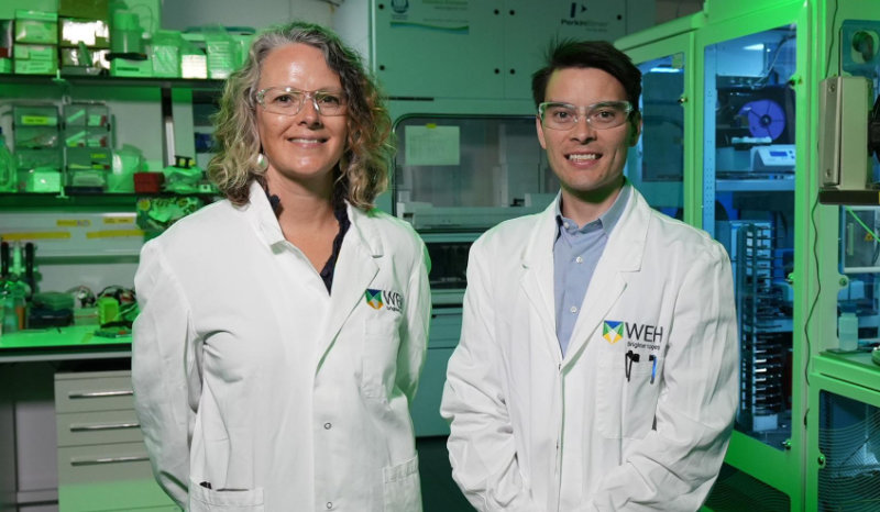 Professor Marnie Blewitt and Dr Nicholas Liau at the National Drug Discovery Centre.