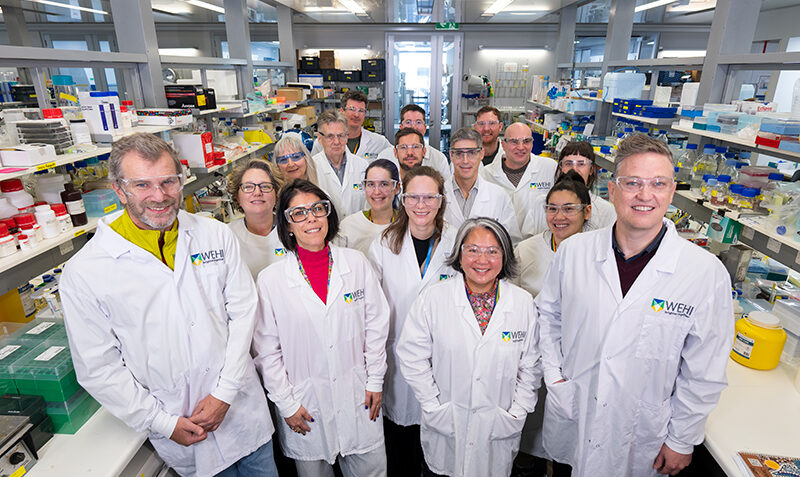 Researchers in the Infection and Global Health division, with co-heads Professor Ivo Mueller (front left) and Associate Professor Chris Tonkin (front right).