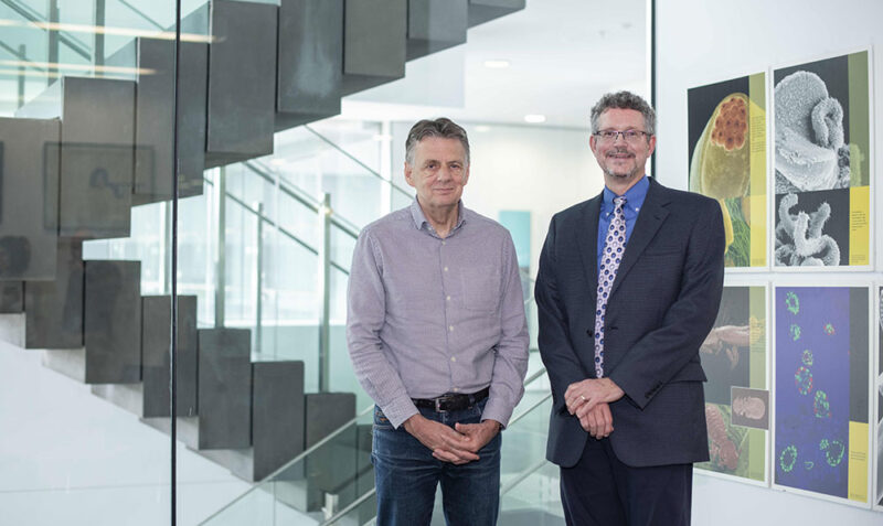 Photo of Professor Alan Cowman (WEHI) and Dr David Olsen (MSD) standing side by side
