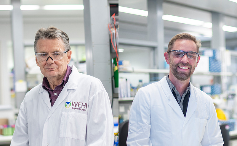 Powering progress: $10m in Synergy Grants fuels research into malaria ...