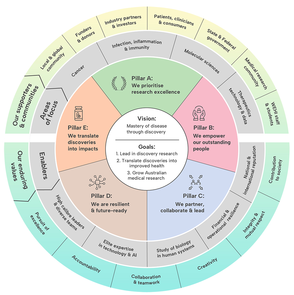 A circle diagram shows the connection between our vision and goals, our pillars, enablers, areas of focus, our values, supporters and communities