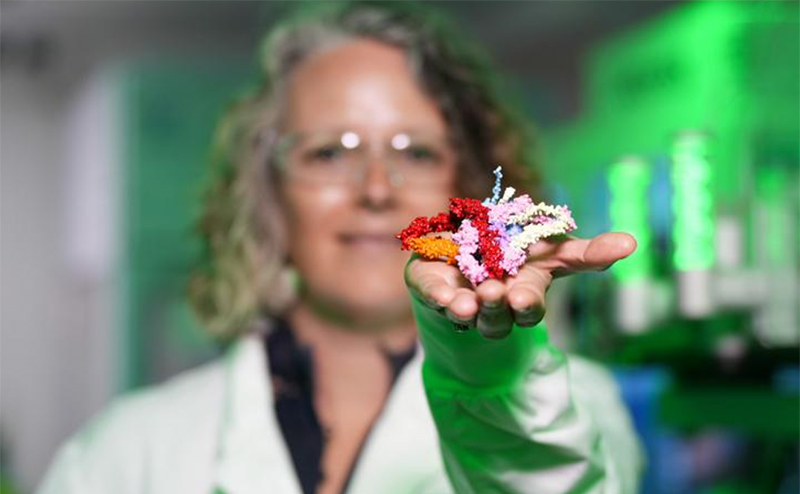 Switching on healthy silent genes reveals new way to treat rare genetic ...